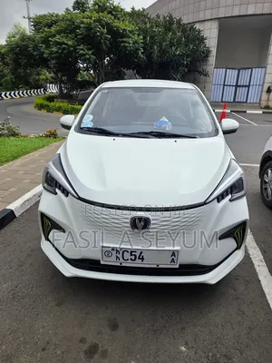 Changan BenBen 2024 White