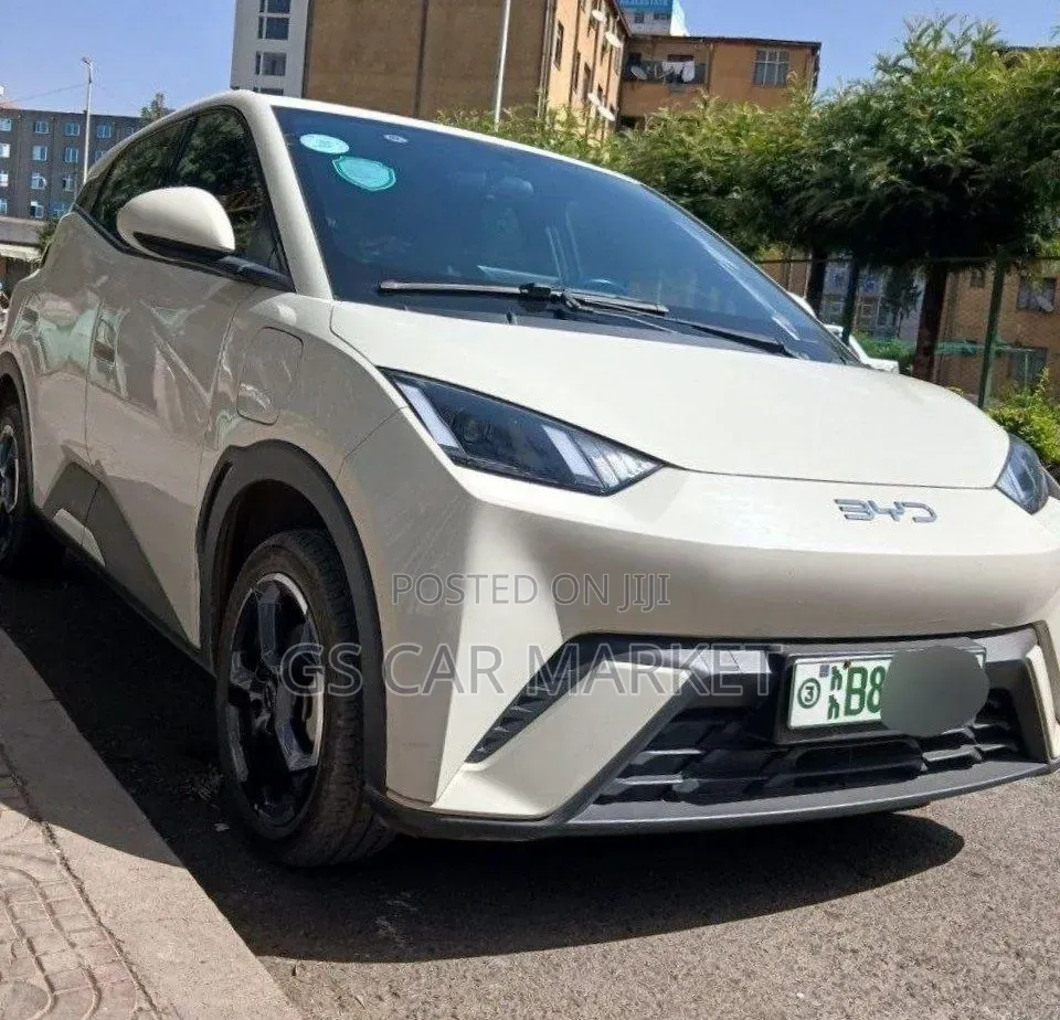 BYD Seagull 2024 White