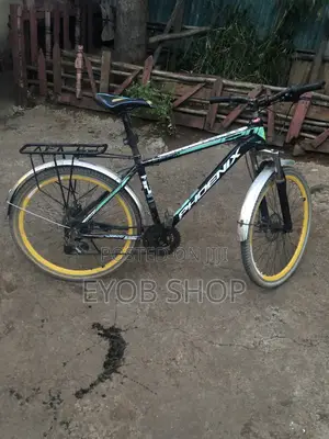 Phoenix Mountain Cycle