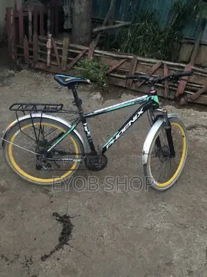 Phoenix Mountain Cycle