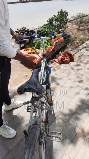 ሳይክል (Bicycle) Adama
