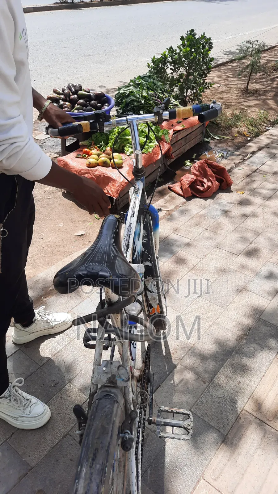 ሳይክል (Bicycle) Adama