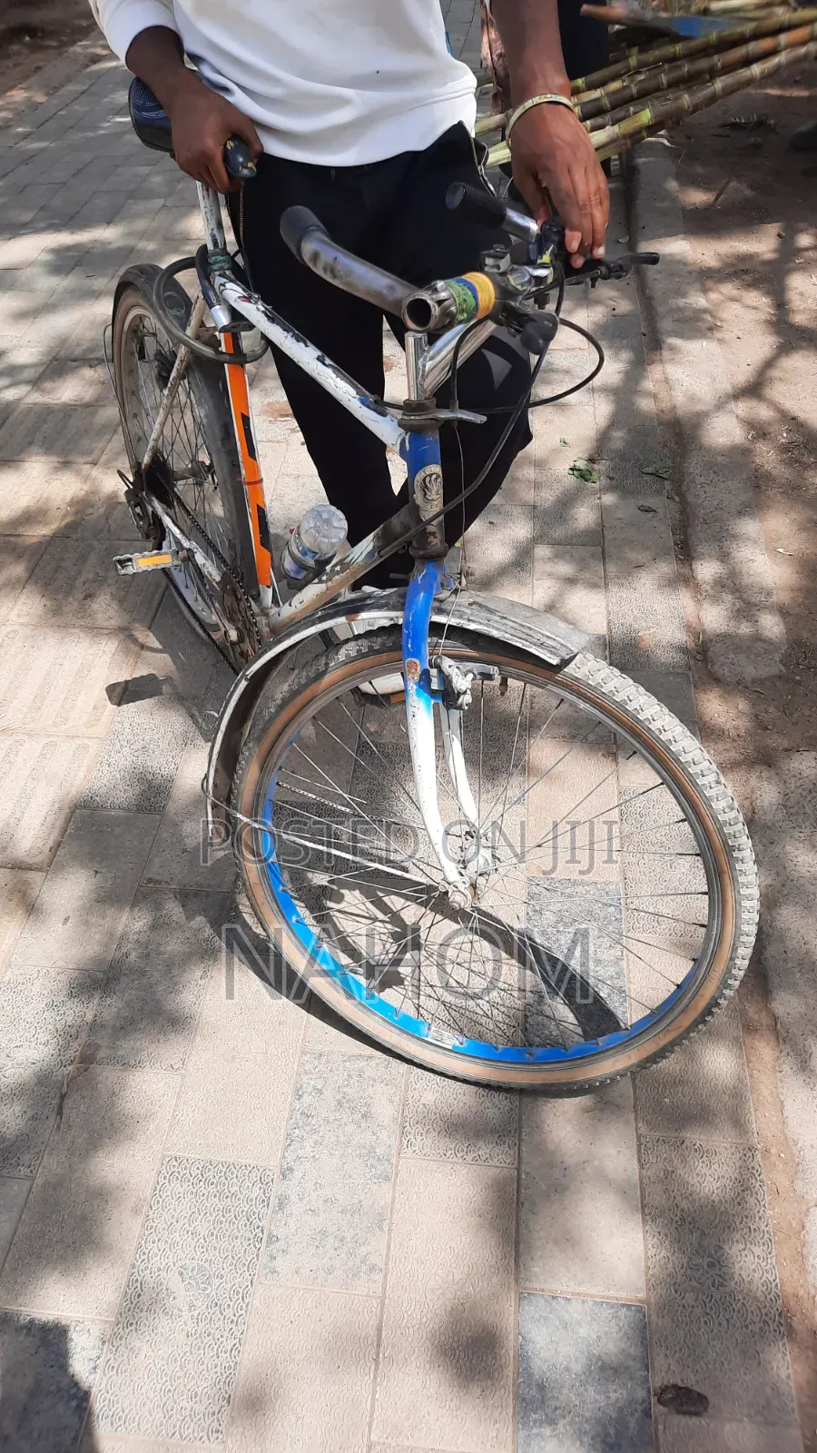 ሳይክል (Bicycle) Adama