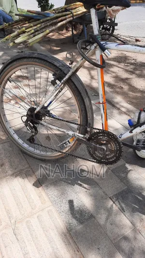 ሳይክል (Bicycle) Adama
