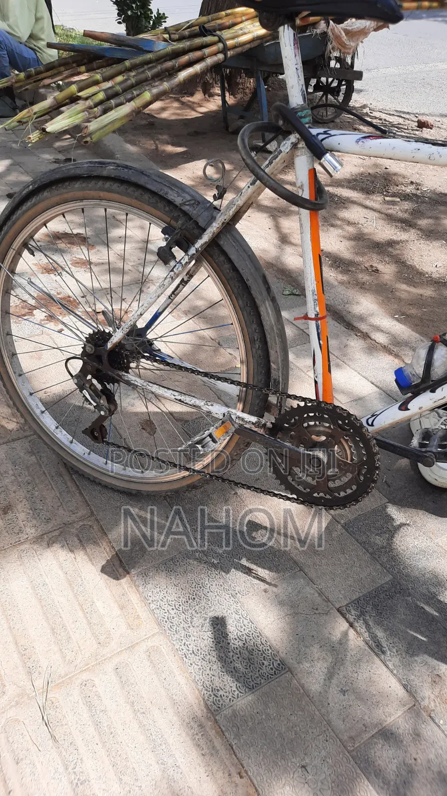 ሳይክል (Bicycle) Adama