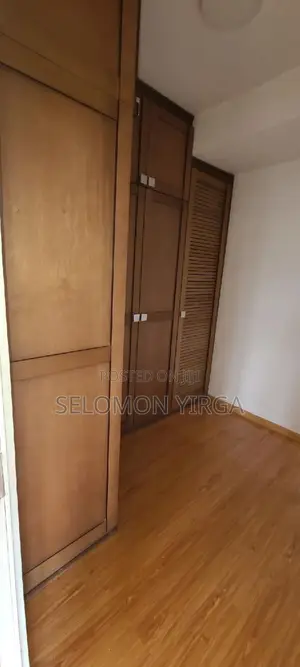 2bdrm Apartment in Adids Abba, Bole for rent