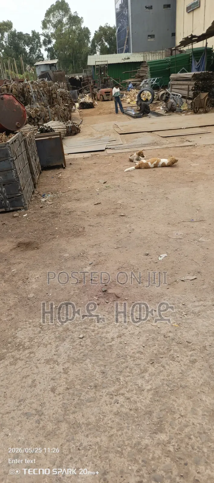 ለፋብሪካ የሚከራይ መጋዝን ለፋብሪካ ነው