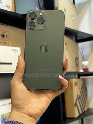 New Apple iPhone 13 Pro Max 256 GB Green