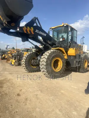 Xcmg Zl 50gn Loader