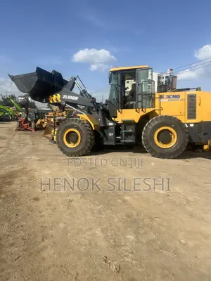 Xcmg Zl 50gn Loader