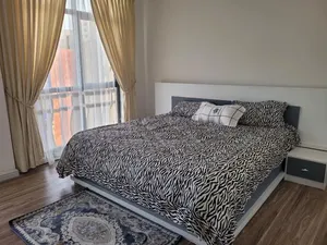 Furnished 4bdrm Apartment in Addis Abeba, Bole for rent