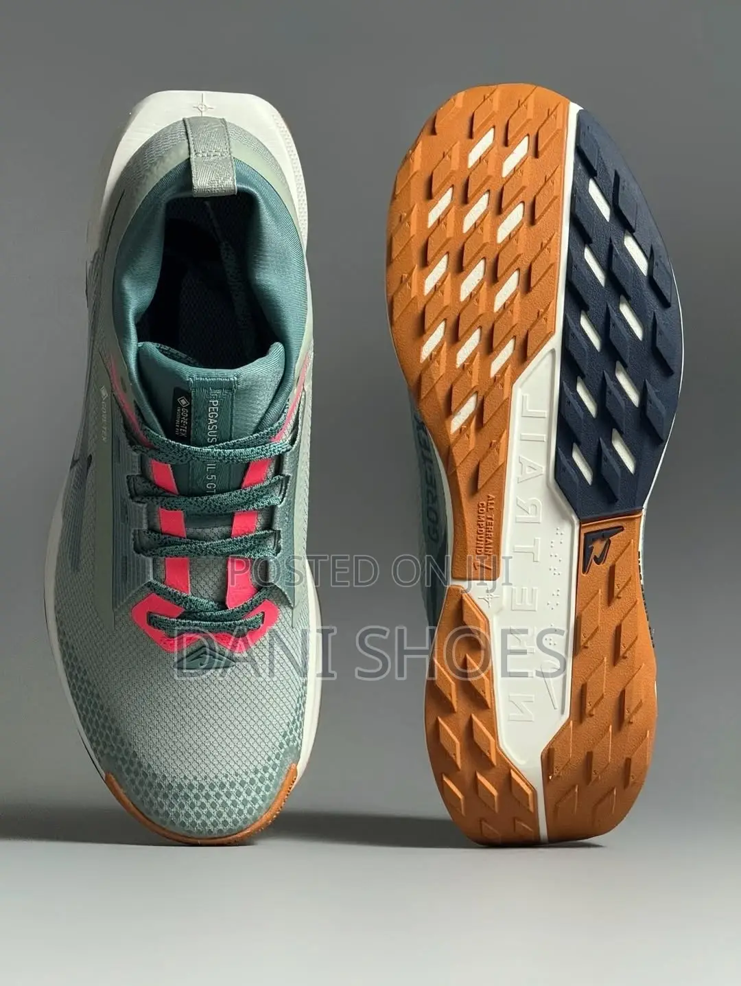 Nike Pegasus