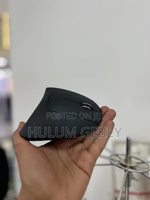 Ergonomics Mouse