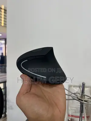 Ergonomics Mouse