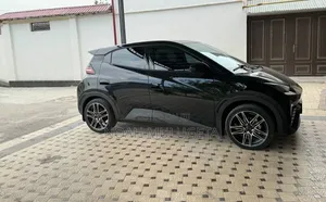 New BYD Seagull 2025 Black