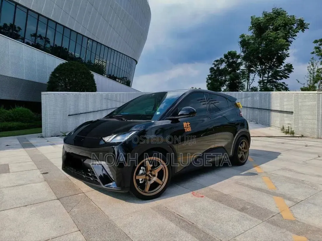 New BYD Seagull 2025 Black