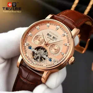 Tevise Watch Men's Mechanical Watch High-Grade Fashion