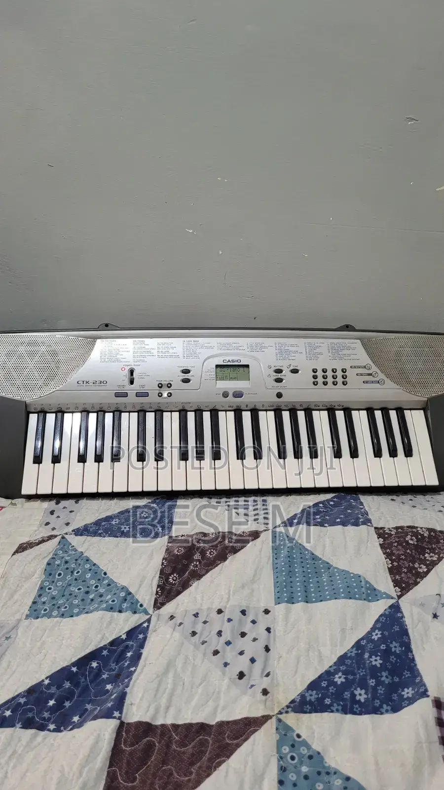 Piano Casio Digital Keyboard (Ctk-230)