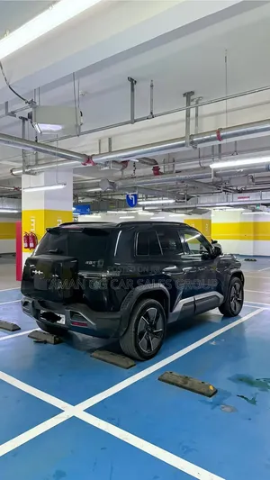 BYD Leopard 3 2025 Black