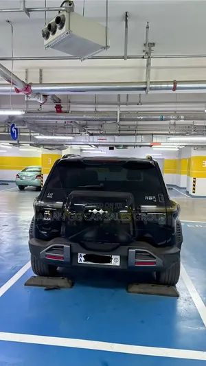 BYD Leopard 3 2025 Black
