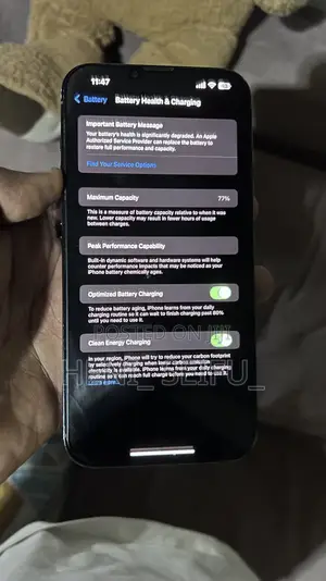 Apple iPhone 13 Pro Max 256 GB Blue