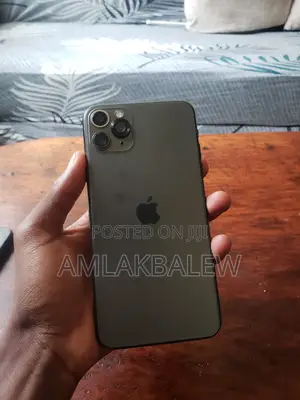 Apple iPhone 11 Pro Max 256 GB Green