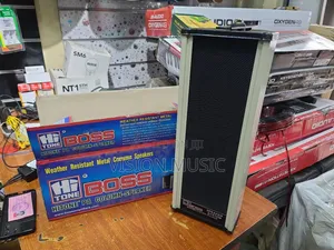 Boss Column Speaker