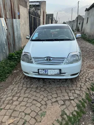 Toyota Corolla Rental