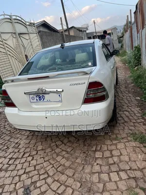 Toyota Corolla Rental