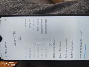 Samsung Galaxy A30 64 GB Bronze