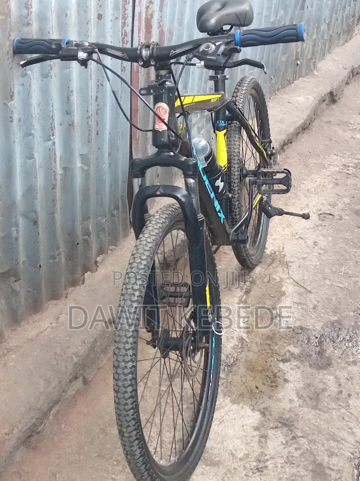 Bike Phoenix