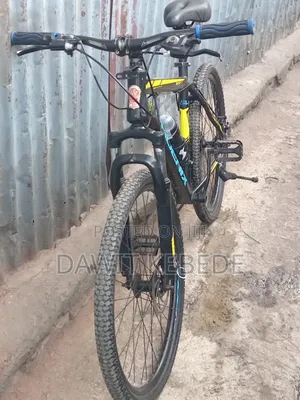 Bike Phoenix