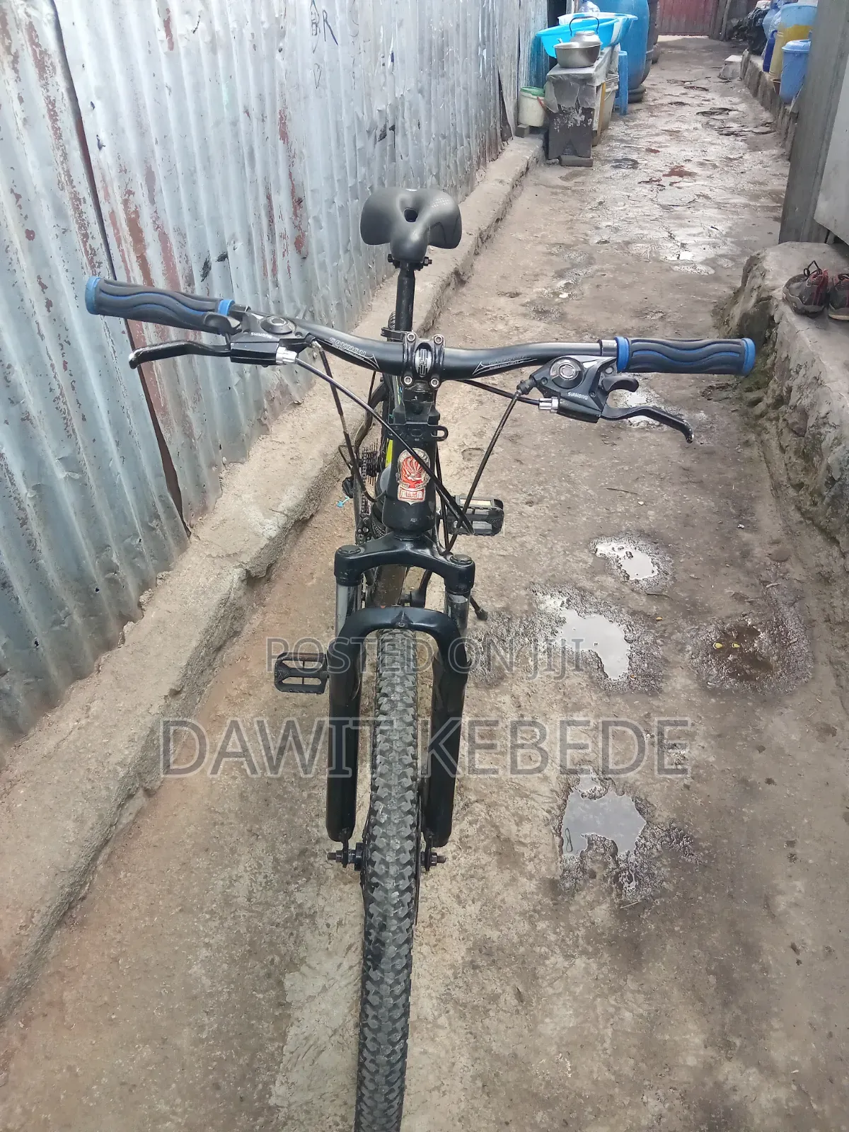 Bike Phoenix