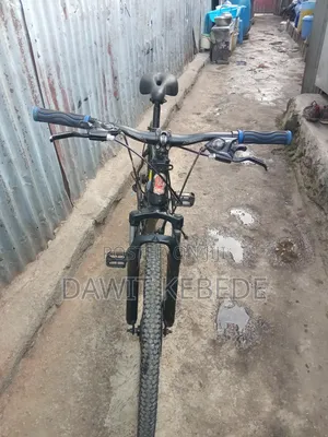 Bike Phoenix