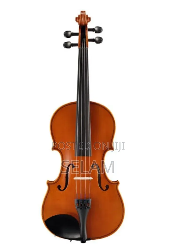 New Violin