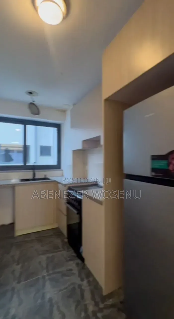 Furnished 3bdrm Apartment in ካሳንችስ, Arada for sale