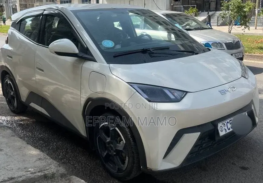 BYD Seagull 2024 White