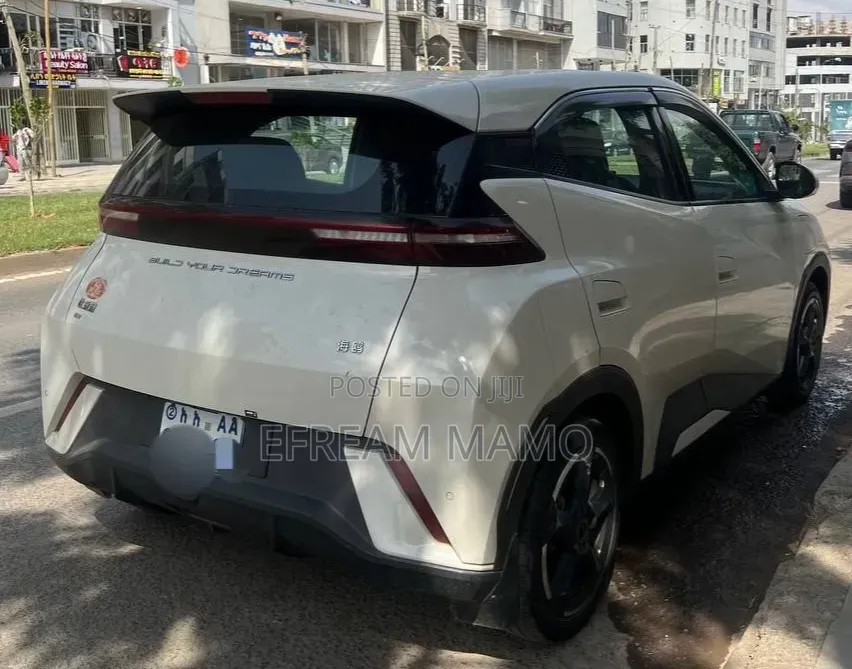 BYD Seagull 2024 White