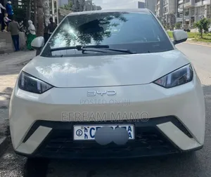 BYD Seagull 2024 White