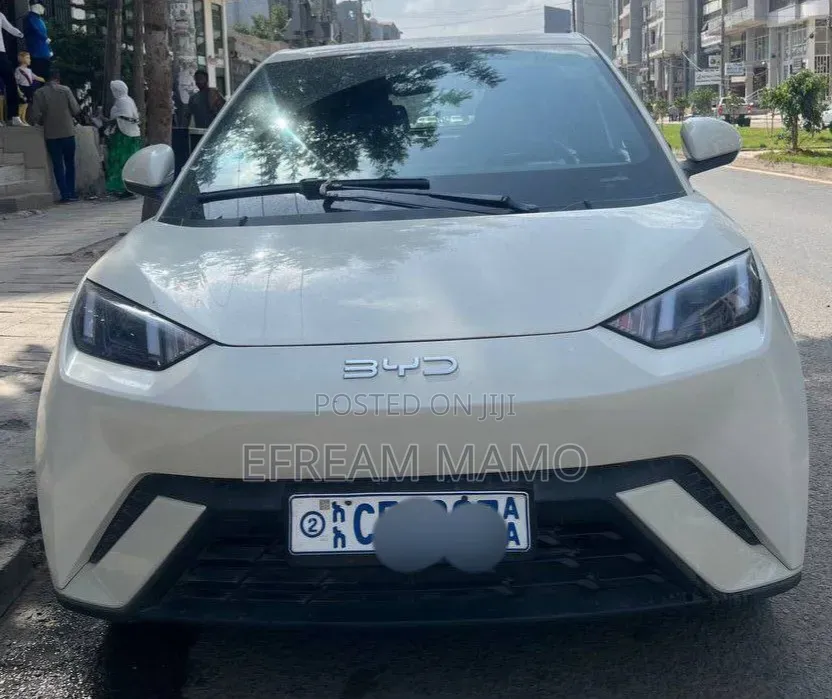 BYD Seagull 2024 White