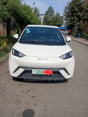 BYD Seagull 38 kWh FWD 2024 Ivory