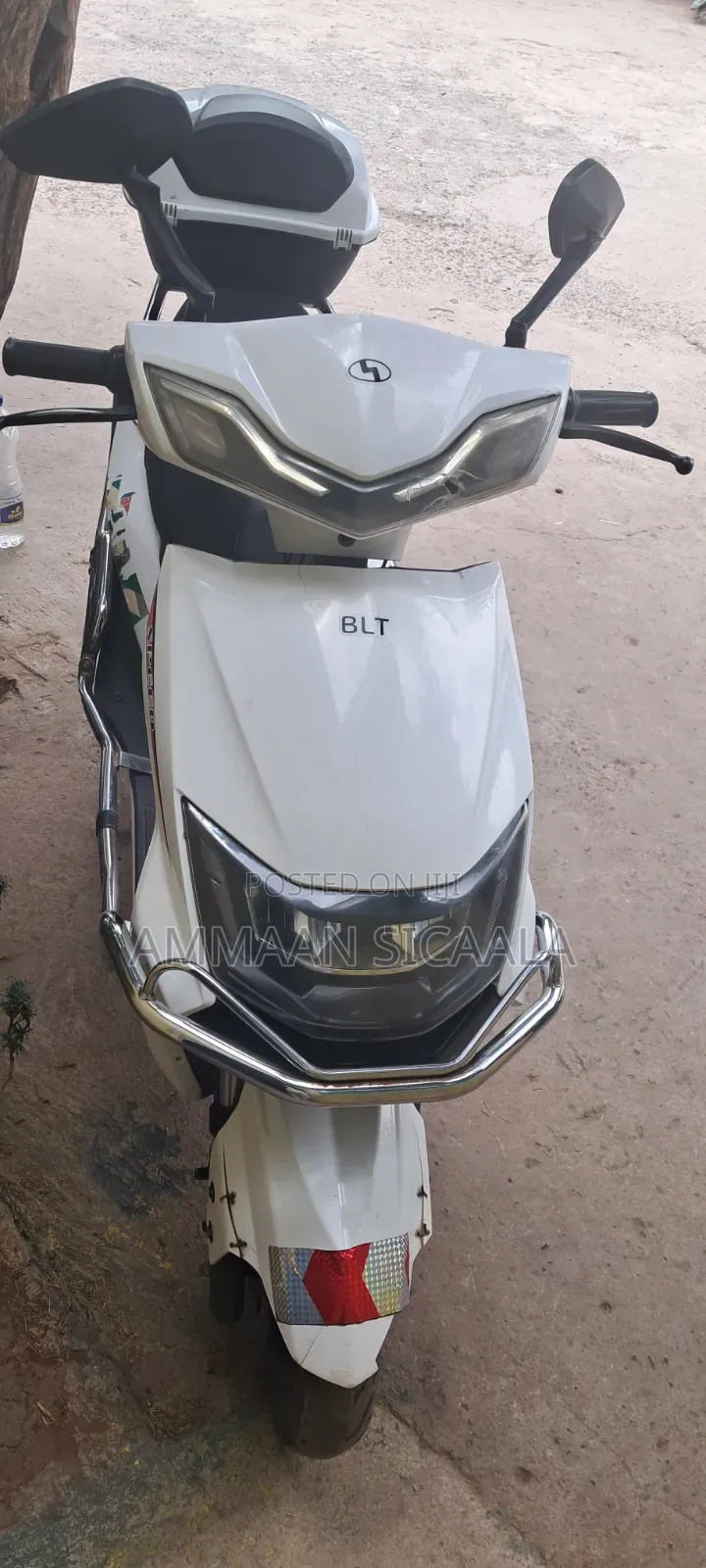 Bir Eco 2025 White