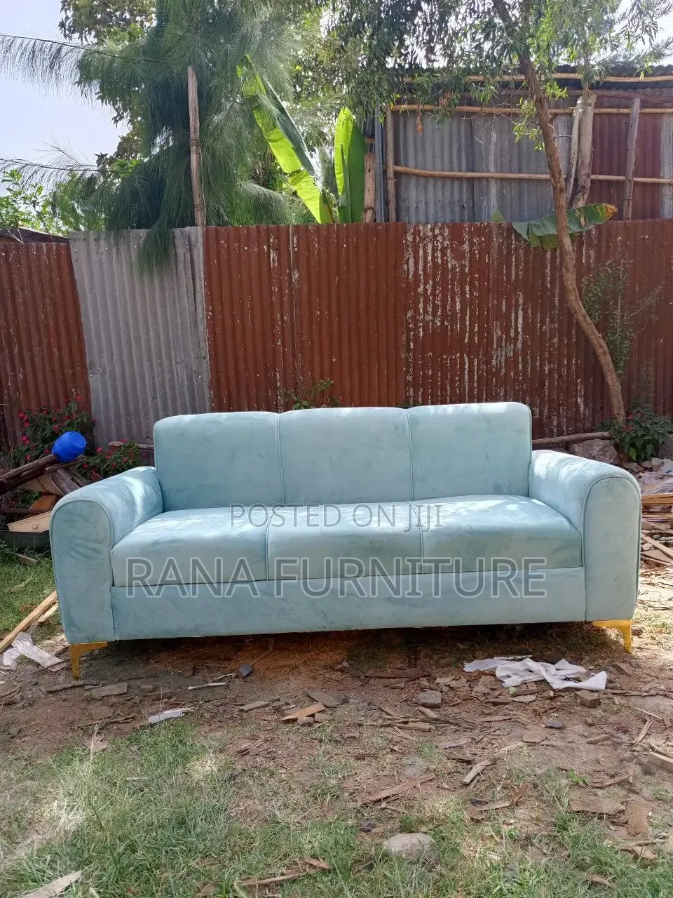 Forest Green Color Sofa