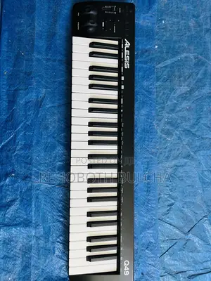 Alesis Midi Keyboard