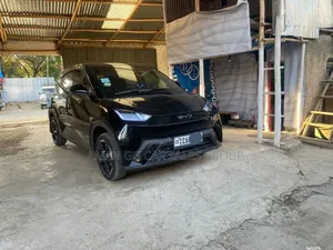 BYD Seagull 2024 Black