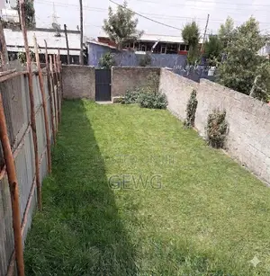 110 ካሬ የሚከራይ ቦታ ኮተቤ 02 ለአስፋልት ቅርብ