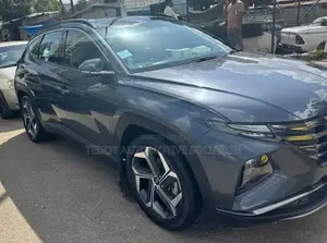 Hyundai Tucson 2021 Gray