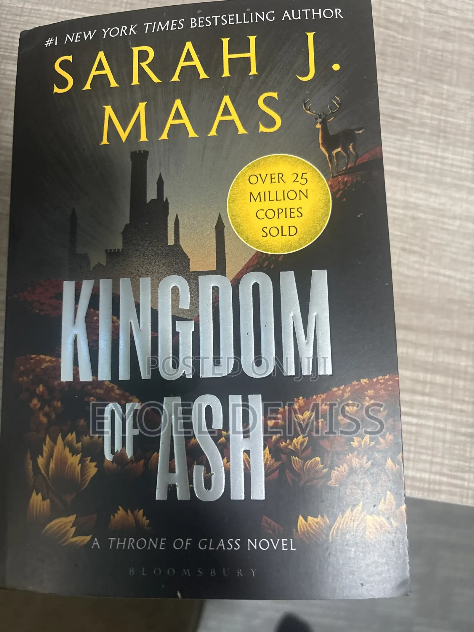 Kingdom of Ash by Sarah J.Maas