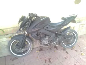 Bajaj Pulsar 2010 Black