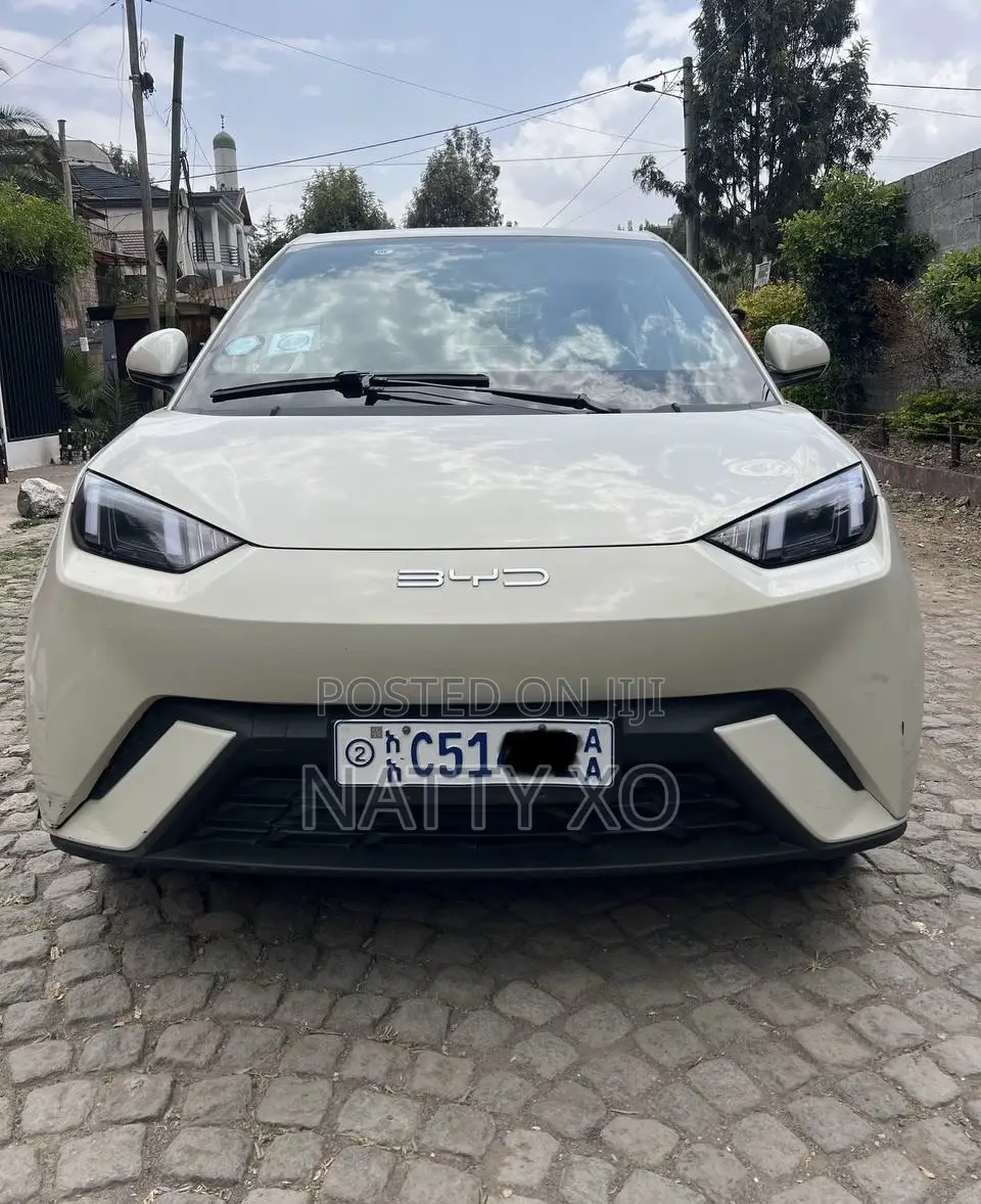 BYD Seagull 2024 Brown